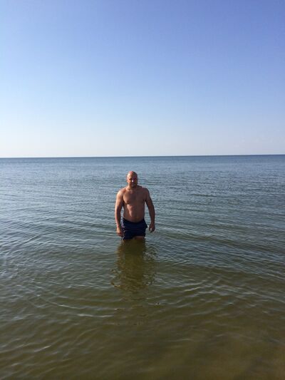  ,   Andreisidi, 43 ,   