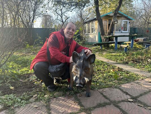  ,   Ilya, 42 ,     , c 