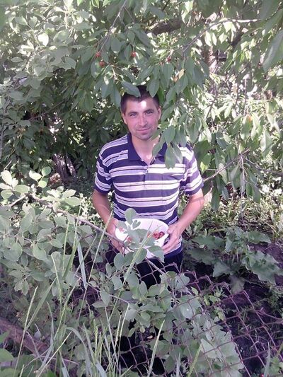  ,   Mihai, 37 ,   c 