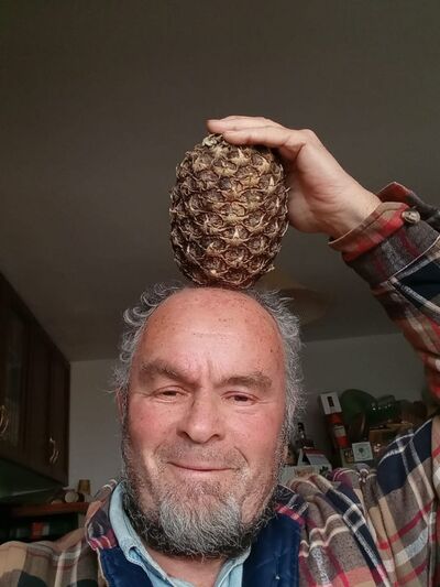  Ashqelon,   , 73 ,   ,   , c 