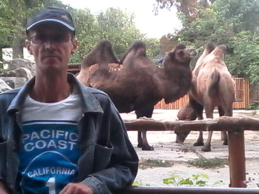  ,   , 57 ,   ,   , c 