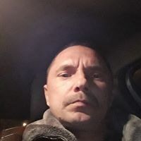  15754393  , 50 ,    