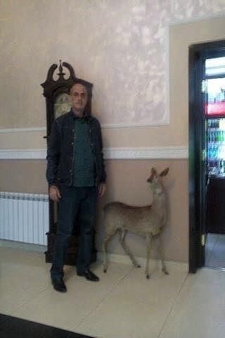  ,   Artur, 59 ,   