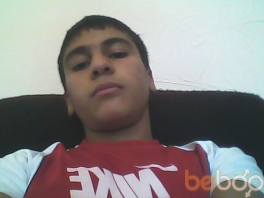  ,   HoVo, 31 ,     , c 
