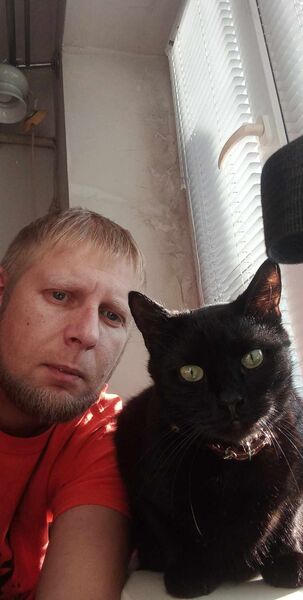  ,   Viking, 37 ,   ,   
