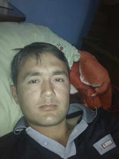  ,   1905328784, 41 ,   ,   , c 