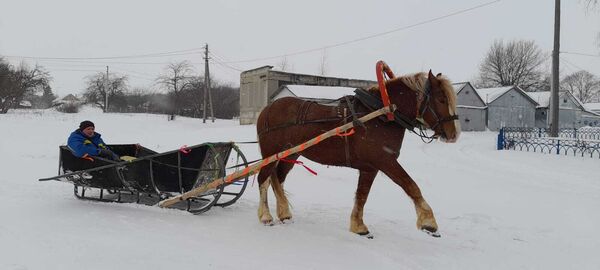  ,   Viktor, 53 ,   ,   