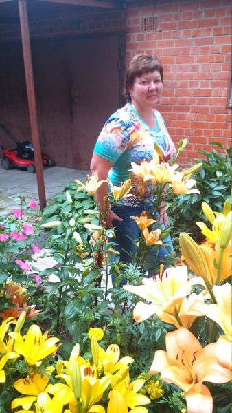  ,   , 56 ,     , c 