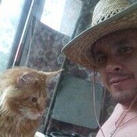  ,   , 51 ,   