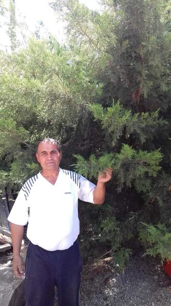  -,   , 53 ,   ,   , c , 