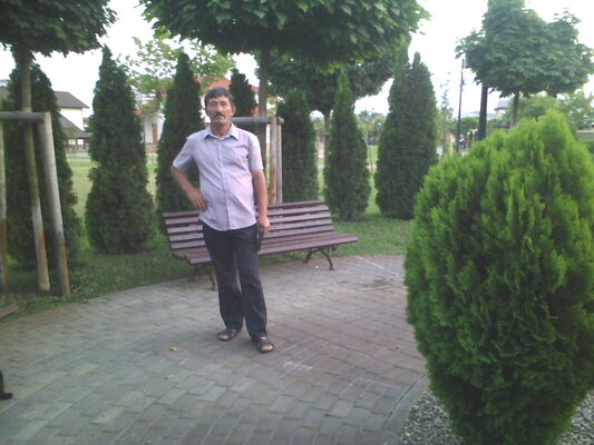  ,   , 61 ,   