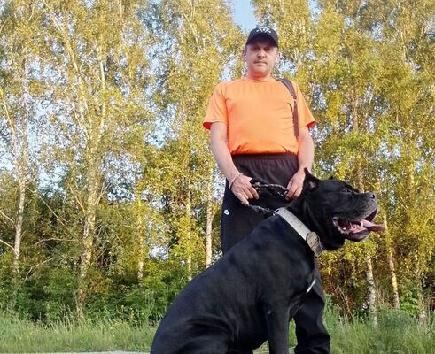  ,   Andrey, 46 ,     , c , 