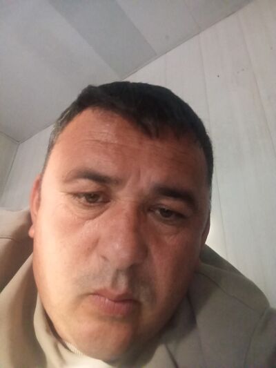  ,   Murka, 40 ,   ,   