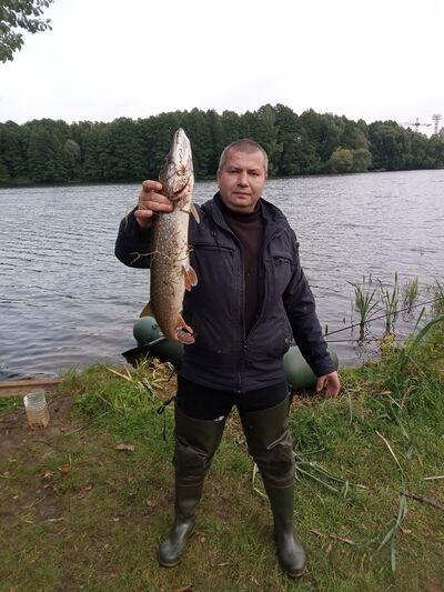  ,   , 39 ,   ,   , 