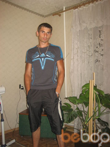  ,   Electrokot, 40 ,     , c 