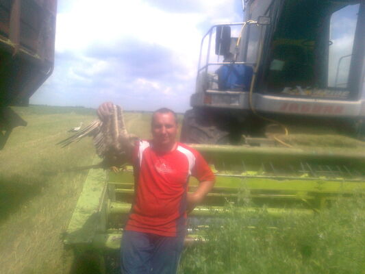  ,   , 51 ,   