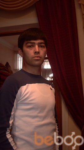  ,   Timur, 41 ,     , c , 