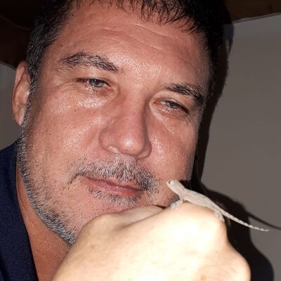  ,   , 51 ,     , c 