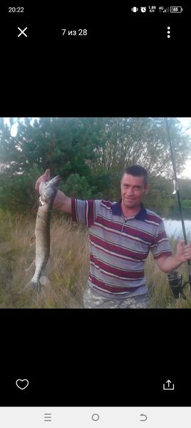  ,   Vladimir, 47 ,   ,   