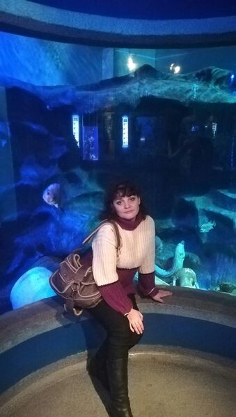  -,   , 36 ,   ,   , c 