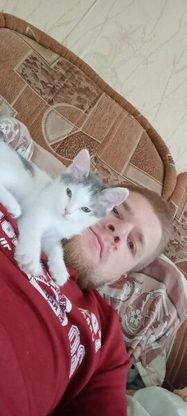  ,   , 28 ,   ,   