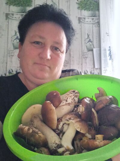  ,   , 49 ,   c , 