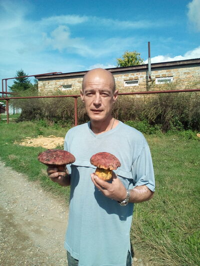  ,   , 54 ,   