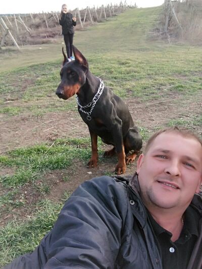  ,   , 41 ,   