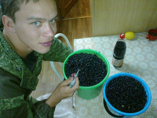  ,   , 38 ,   ,   , c 