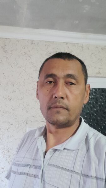 ,   Qirol, 51 ,   ,   