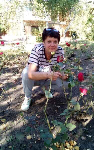  ,   , 65 ,   ,   , c 