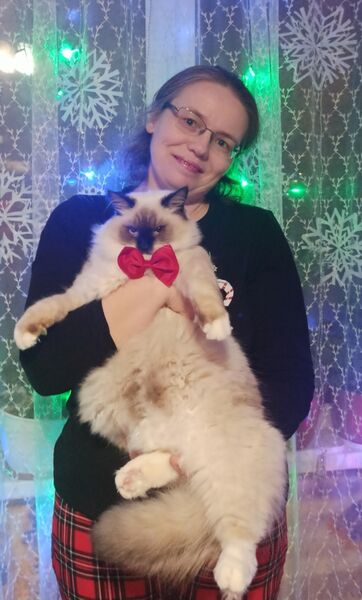  ,   , 44 ,   ,   