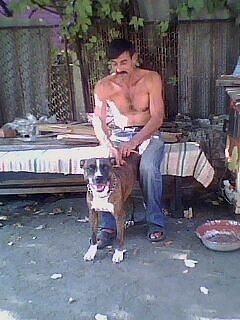  13755483  ALIK, 64 ,    