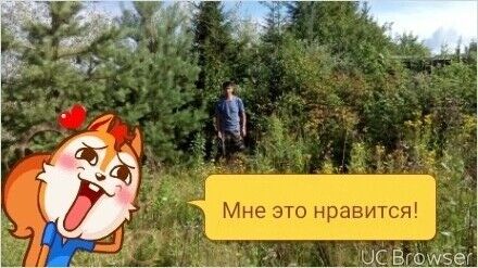  ,   Ali, 45 ,   ,   , c 