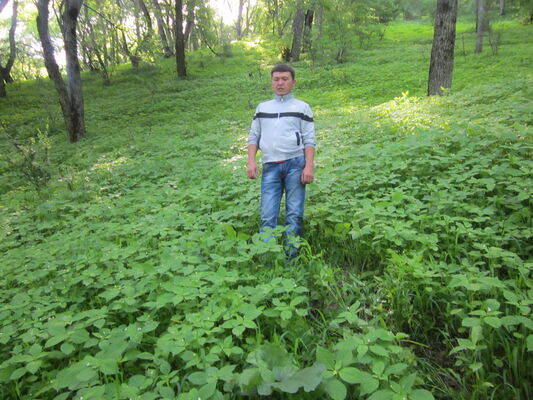 ,   , 55 ,   