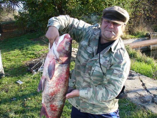  ,   , 54 ,   