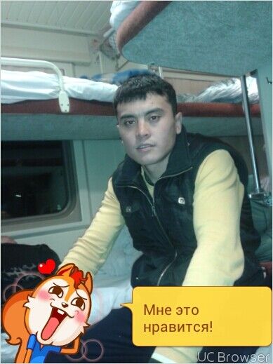 ���������� ����������, ���� ������� Bory, 39 ���, ������������ ��� ������, ����� � ���������, c�������� ���������