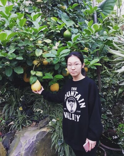  Ch'ongju,   , 22 ,   ,   , c 