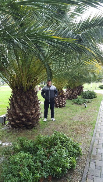 ,   Rustam, 35 ,   ,   , c 
