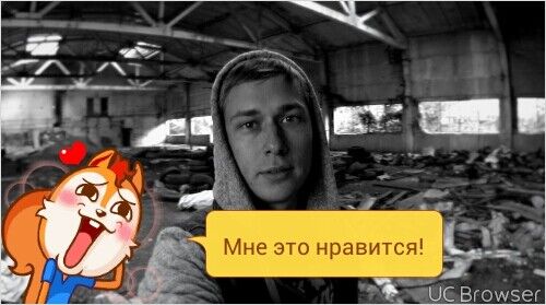  8179493  , 37 ,     