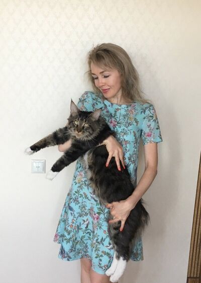  ,   , 49 ,   ,   