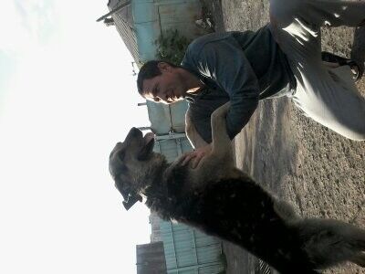 ���������� ������, ���� ������� Aleks, 45 ���, ������������ ��� ������