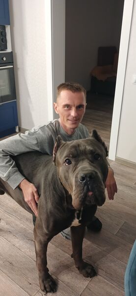  -,   , 30 ,   ,   