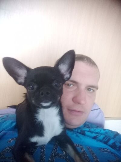  ,   , 41 ,   ,   