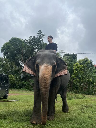  ,   , 21 ,   ,   , 