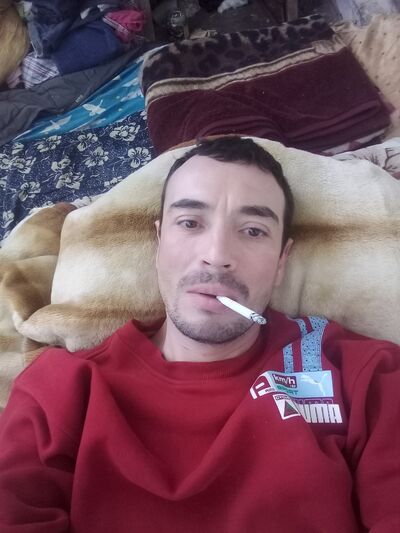  ,   Bull, 41 ,  