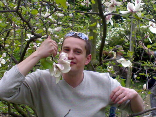  ,   MaX, 41 ,   , 
