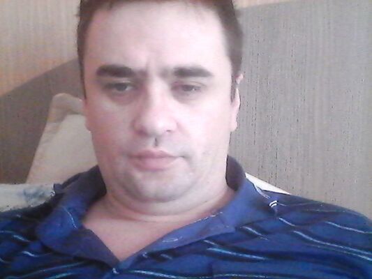  ,   Trend, 48 ,   