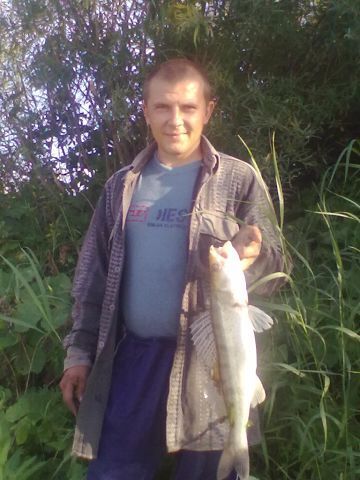  41401703  Yevgeniy, 40 ,    