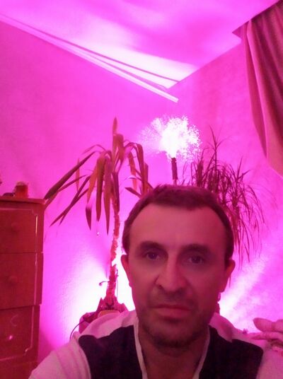  ,   , 45 ,   ,   